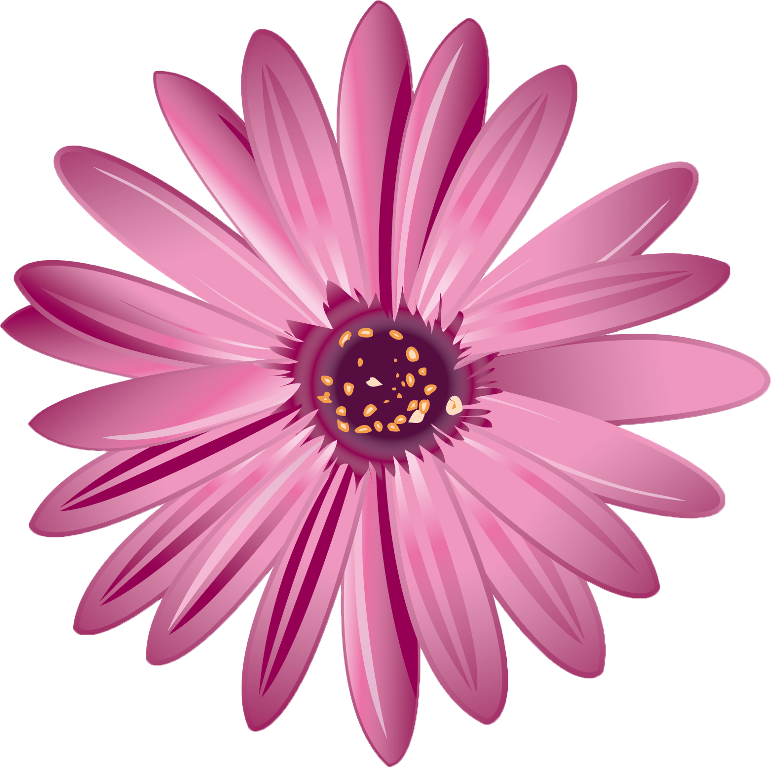 flower no background