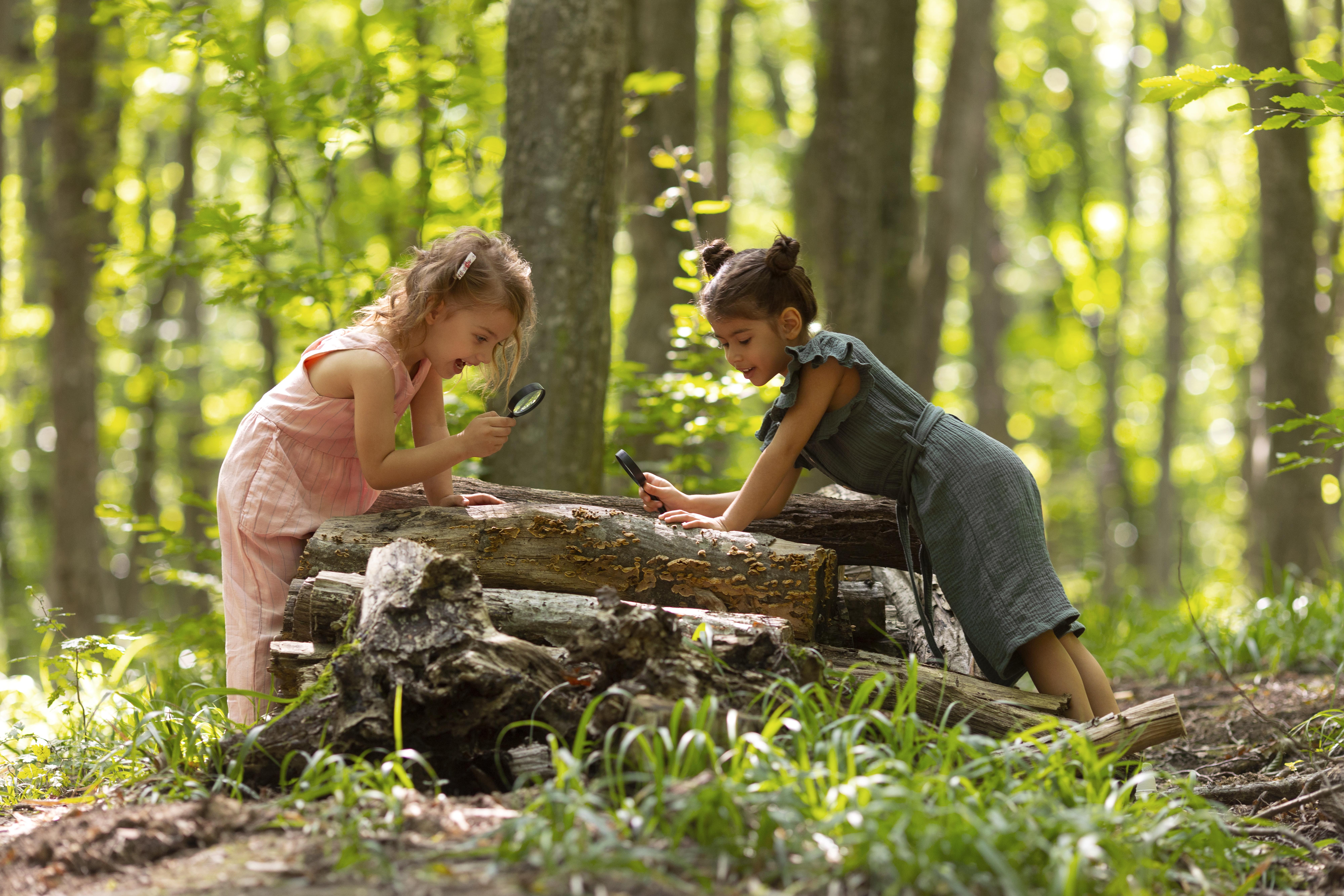 forest schools